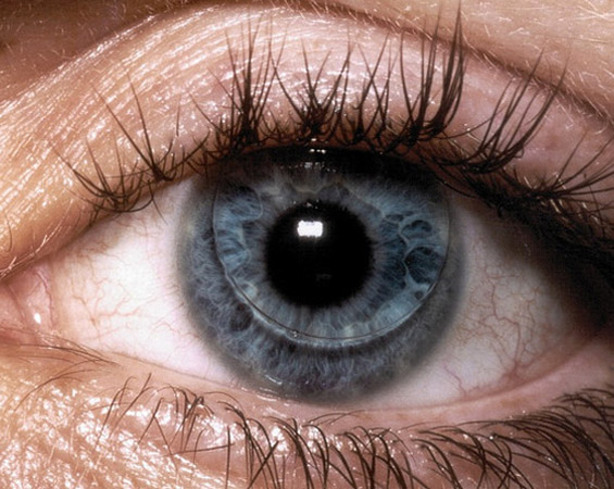 hard lenses